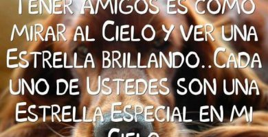 Frases del dia