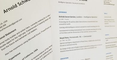 curriculum vitae