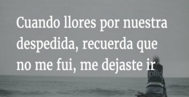 Frases de despedida