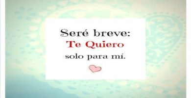 frases para mi novio