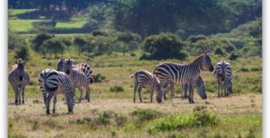 GYM con entrenador personal